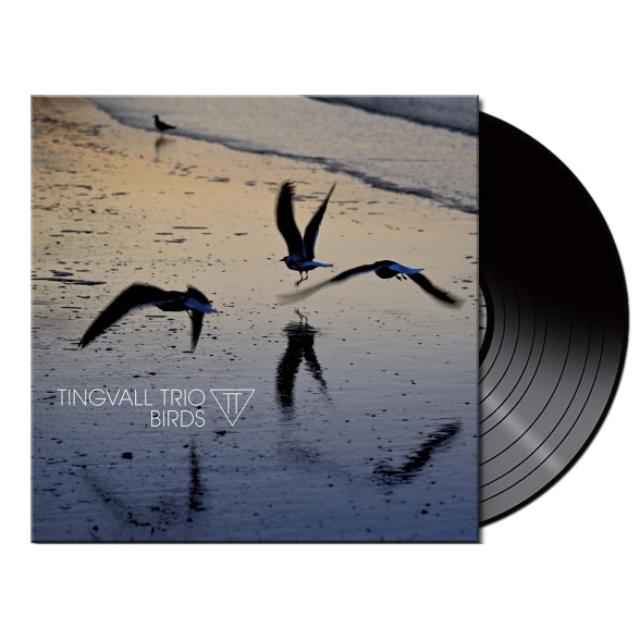 Tingvall Trio - Birds (Black )