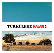 Çeşitli Sanatçılar: Türkülere Kalan 2 - CD