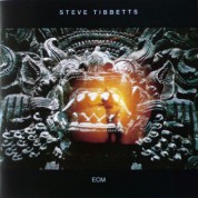 Steve Tibbetts: The Fall Of Us All - CD