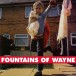 Fountains Of Wayne - Plak