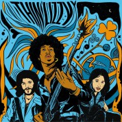 Thin Lizzy: The Acoustic Sessions - Plak