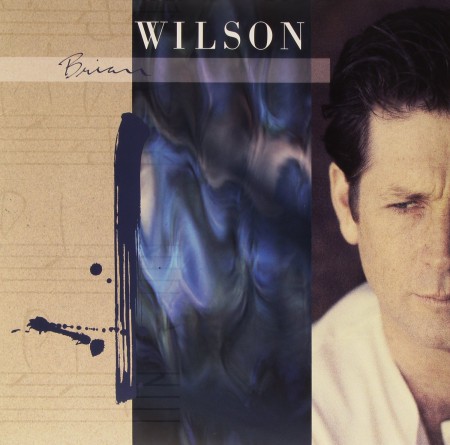 Brian Wilson - Plak