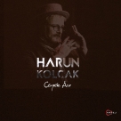 Harun Kolçak, Çeşitli Sanatçılar: Çeyrek Asır - Plak Foto #1