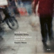 Gard Nilssen: Elastic Wave - CD