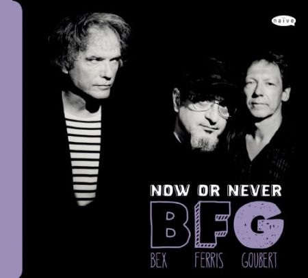 Emmanuel Bex, Glenn Ferris, Simon Goubert: Now or Never - CD