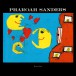 Moon Child (Limited Numbered Edition - Gold & Orange Marbled Vinyl) - Plak