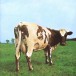 Atom Heart Mother (Discovery Album) - CD