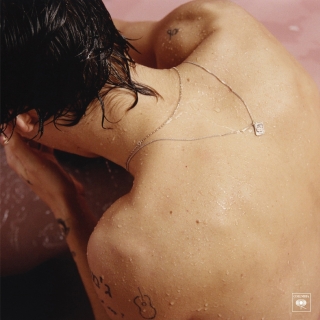 Harry Styles - Plak