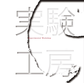 Çeşitli Sanatçılar: Experimental Workshop - CD