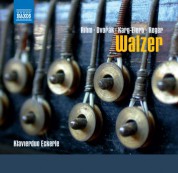 Klavierduo Eckerle: Walzer fur Klavier zu vier Handen - CD