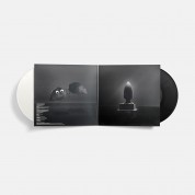 Son Lux: Everything Everywhere All at Once - Plak