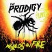 Live - World's On Fire (Ltd. Deluxe Edition) - CD