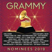 Çeşitli Sanatçılar: 2019 Grammy Nominees - CD