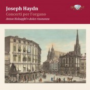 Anton Holzapfel: Haydn: Complete Organ Concertos - CD