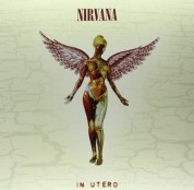 Nirvana: In Utero - Plak