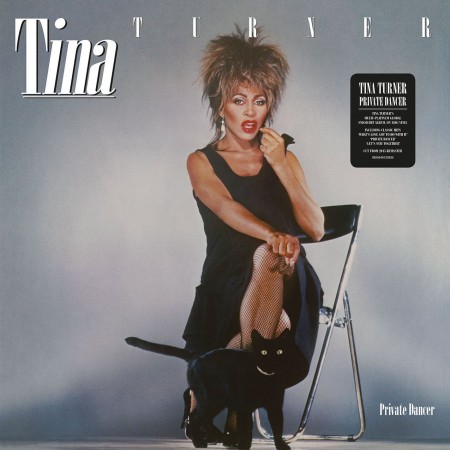 Tina Turner: Private Dancer - Plak