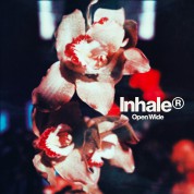Inhaler: Open Wide - Plak