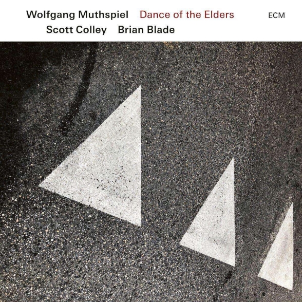 Wolfgang Muthspiel, Scott Colley, Brian Blade: Dance Of The Elders - Plak Foto #1