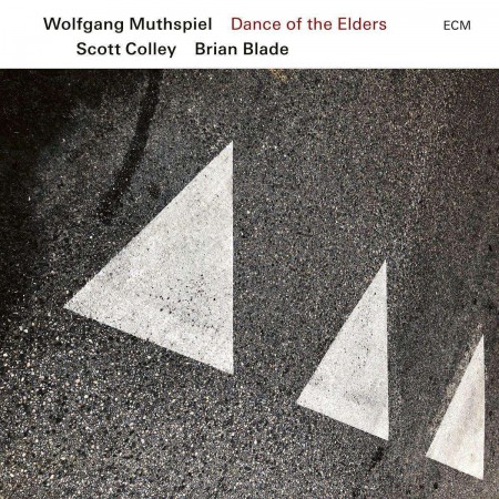 Wolfgang Muthspiel, Scott Colley, Brian Blade: Dance Of The Elders - Plak