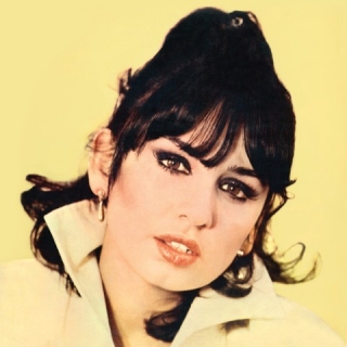 Sezen Aksu: Allahaısmarladık - Plak