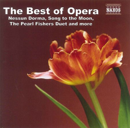 Çeşitli Sanatçılar: Best Of Opera - CD