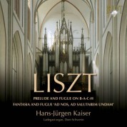 Hans-Jürgen Kaiser: Liszt: Organ Works - CD