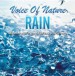 Rain - CD