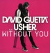 Without You - Single Plak