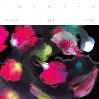 Tamaryn: Tender New Signs - CD