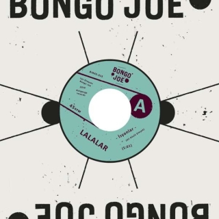 Lalalar: İsyanlar / Yalnız Ölü Balıklar Akıntıyı Takip Eder - Single Plak