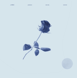 Y Bülbül, Yumurta: Not One, Not Two - Plak