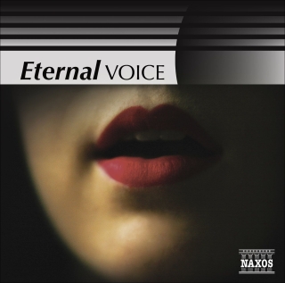 Çeşitli Sanatçılar: Voice (Eternal) - CD
