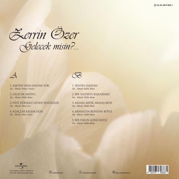 Zerrin Özer: Gelecek misin? - Plak Foto #2