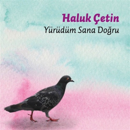 Haluk Çetin: Yürüdüm Sana Doğru - CD