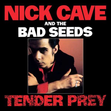 Nick Cave and the Bad Seeds: Tender Prey - Plak