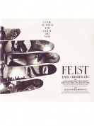 Feist: Look At What The Light Did Now - DVD