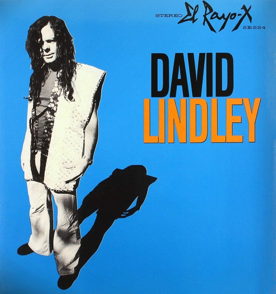 David Lindley: El Rayo-X - Plak Foto #1