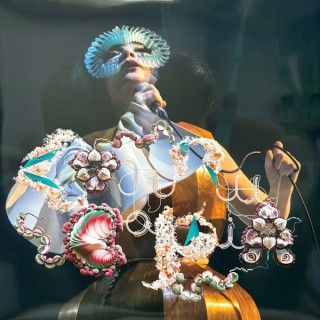 Björk: Cornucopia Live - Plak