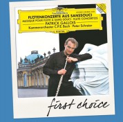 Patrick Gallois, Kammerorchester C. P. E. Bach, Peter Schreier: Patrick Gallois - Flute Concertos From Sanssouci - CD