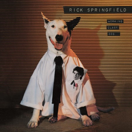 Rick Springfield: Working Class Dog - Plak
