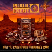 Public Enemy: What You Gonna Do When The Grid Goes Down? - CD