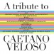 A Tribute To Caetano Veloso - CD