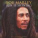 Sun Is Shining (Red, Yellow & Green Vinyl) - Plak