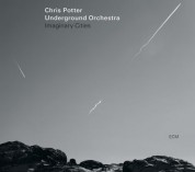Chris Potter Underground Orchestra: Imaginary Cities (LP) - Plak