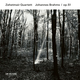 Zehetmair Quartett: Brahms: Streichquartette No 1 & 2 - CD