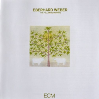 Eberhard Weber: The Following Morning - CD
