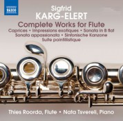 Thies Roorda, Nata Tsvereli: Karg-Elert: Complete Works for Flute - CD