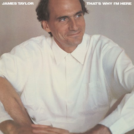 James Taylor: That's Why I'm Here - Plak