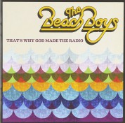 The Beach Boys: That's Why God Made the Radio - CD