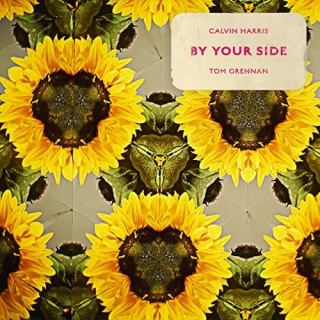 Calvin Harris: By Your Side - Single Plak